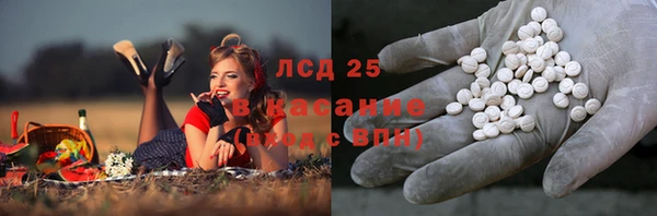 соль ск Алзамай