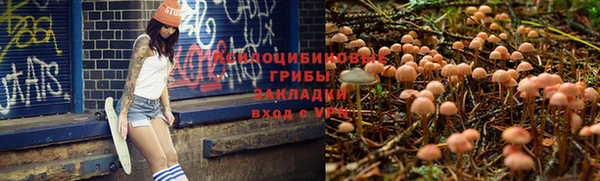 apvp Абинск