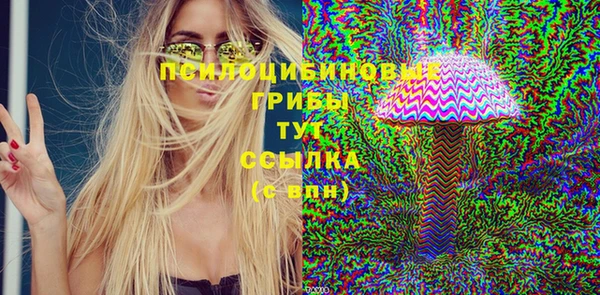 spice Алексеевка
