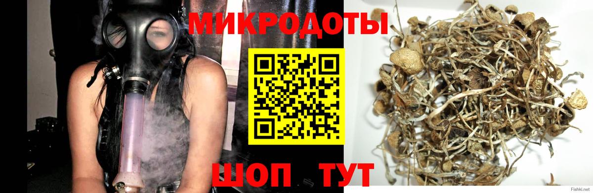 Галлюциногенные грибы Psilocybine cubensis  Вход с VPN  Боровичи  наркошоп  Галлюциногенные грибы Psilocybe 