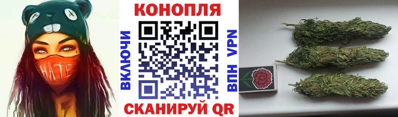 блэк спрут ссылка  Боровичи  Канабис индика 