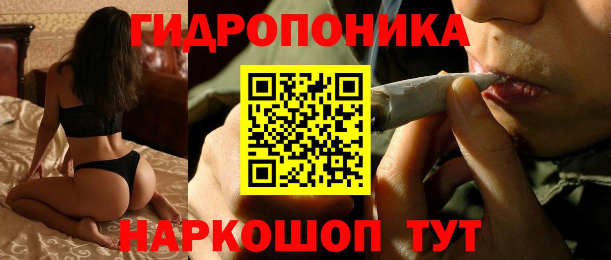 Бошки Шишки семена Боровичи